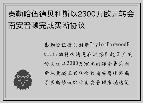 泰勒哈伍德贝利斯以2300万欧元转会南安普顿完成买断协议 泰勒哈伍德贝利斯以2300万欧元转会南安普顿完成买断协议